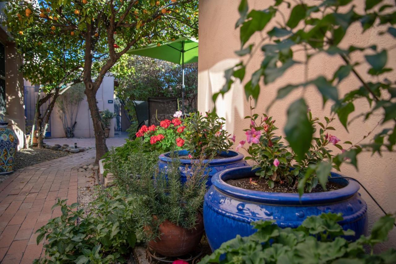 Adobe Rose Inn ทูซอน ภายนอก รูปภาพ